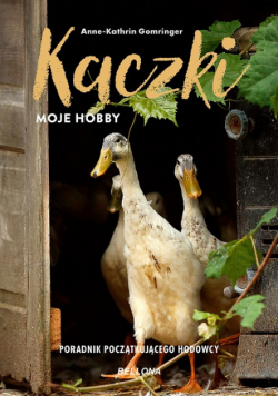 Kaczki moje hobby Poradnik początkującego hodowcy