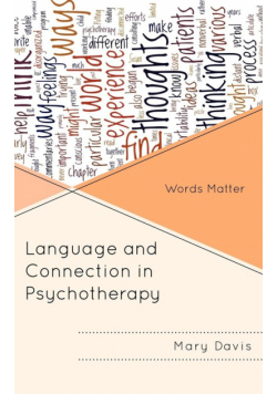 Language and Connection in Psychotherapy