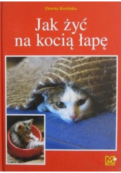 Jak żyć na kocią łapę