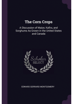 The Corn Crops