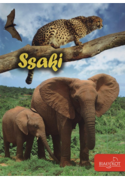 Ssaki