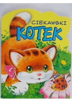 Ciekawski kotek