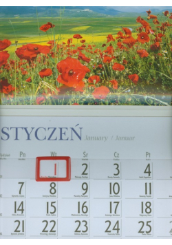 Kalendarz 2013 KJ 2 Łąka