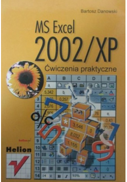MS Excel 2002 / XP