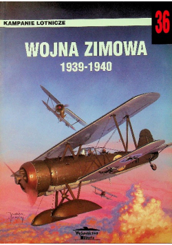 Kampanie lotnicze  Wojna zimowa 1939 - 1940