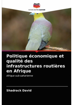 Politique économique et qualité des infrastructures routières en Afrique