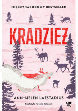 Kradzież