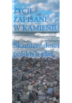Życie zapisane w kamieniu Skamieniałości polskich plaż