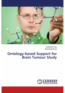 Ontology-based Support for Brain Tumour Study