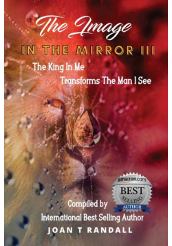 The Image In The Mirror Iii