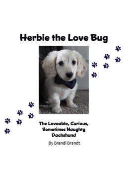 Herbie the Love Bug