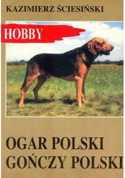 Ogar polski gończy pies