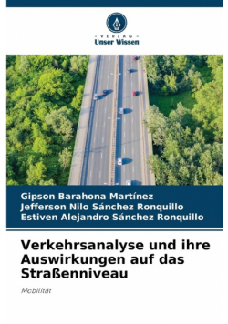 Verkehrsanalyse und ihre Auswirkungen auf das Straßenniveau