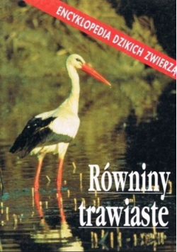 Równiny trawiaste