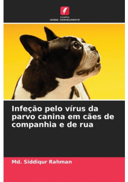 Infeção pelo vírus da parvo canina em cães de companhia e de rua