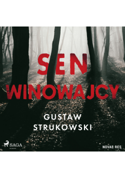 Sen winowajcy