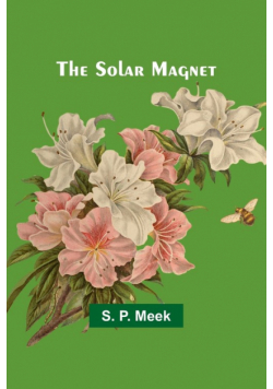 The Solar Magnet