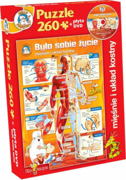 Puzzle Było sobie życie Mięśnie i układ kostny