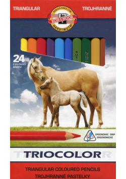 Kredki Triocolor trójboczne 24 kolory
