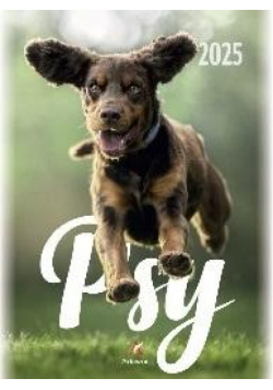 Kalendarz 2025 wieloplanszowy B4 Psy