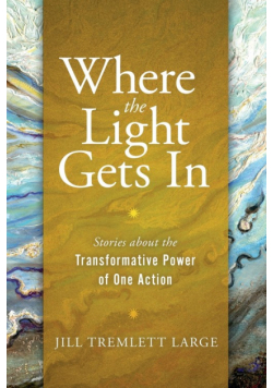 Where the Light Gets In