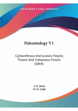 Paleontology V1