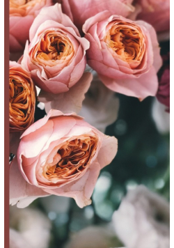 Roses in bloom journal