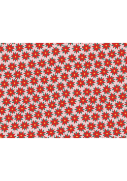 Papier do pakowania - Gwiazda betlejemska 70x200cm