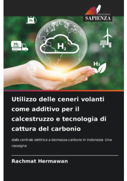 Utilizzo delle ceneri volanti come additivo per il calcestruzzo e tecnologia di cattura del carbonio