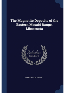 The Magnetite Deposits of the Eastern Mesabi Range, Minnesota