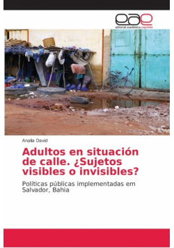 Adultos en situación de calle. ¿Sujetos visibles o invisibles?
