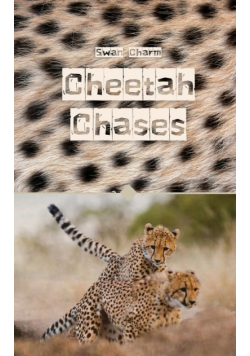 Cheetah Chases