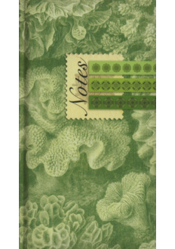 Notes A6 w linie Soft 11N-S Rycina