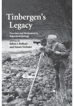 Tinbergen's Legacy