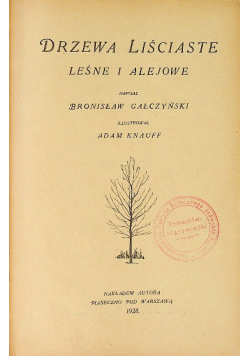 Drzewa liściaste leśne i alejowe