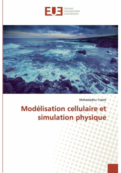 Modélisation cellulaire et simulation physique