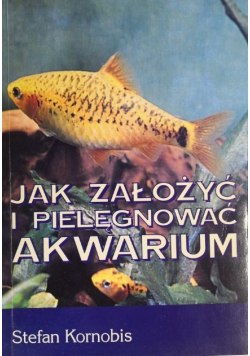 Jak założyć i pielęgnować akwarium