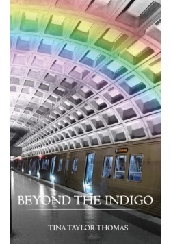 Beyond the Indigo