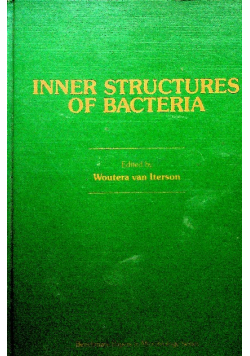 Inner structures of bacteria