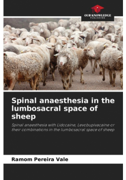 Spinal anaesthesia in the lumbosacral space of sheep