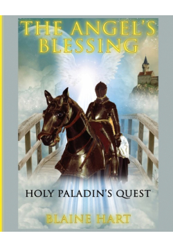 Holy Paladin's Quest