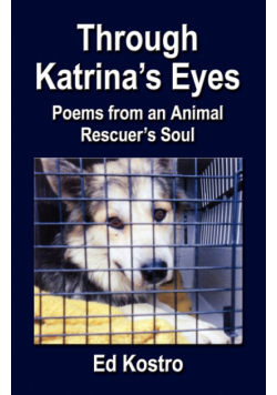 Through Katrina's Eyes