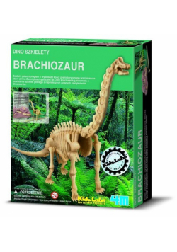 Dino szkielety Brachiosaurus