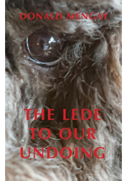 The Lede To Our Undoing