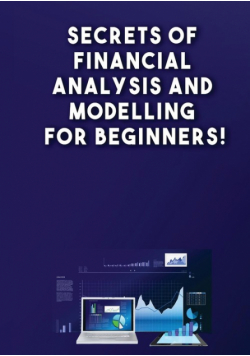 Secrets of Financial Analysis and Modelling For Beginners!