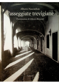 Passeggiate trevigiane