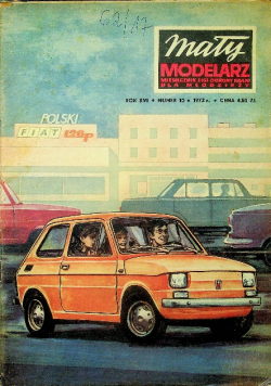 Mały modelarz nr 10 / 73