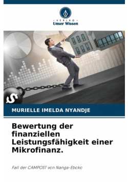 Bewertung der finanziellen Leistungsfähigkeit einer Mikrofinanz.