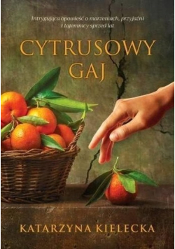 Cytrusowy gaj
