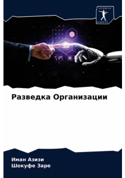 Разведка Организации